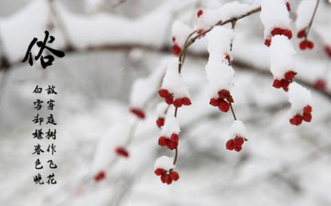 大雪节气的含义是什么 大雪节气的由来和风俗