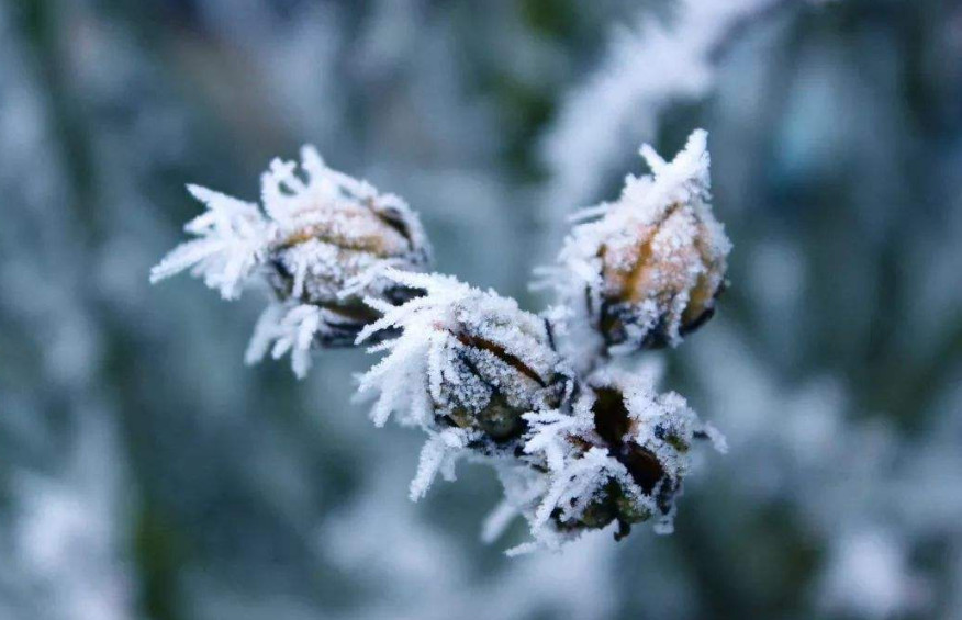 2020年小雪是几月几日几点几分 2020年小雪节气是哪一天 2020年小雪是多少号