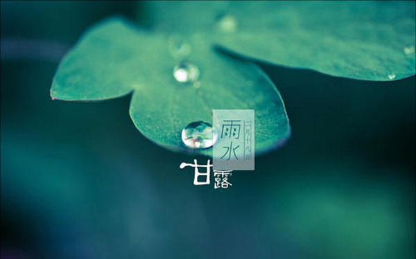 雨水节气的由来 雨水节气的含义