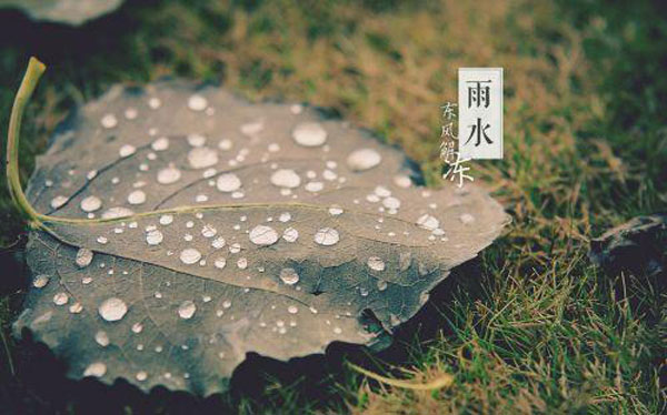 雨水节气的含义是什么意思 雨水节气的温度是多少