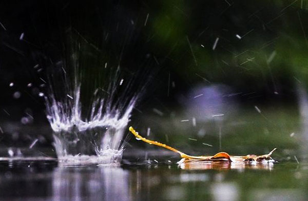 雨水节气养生要注意什么 雨水节气养生注意事项