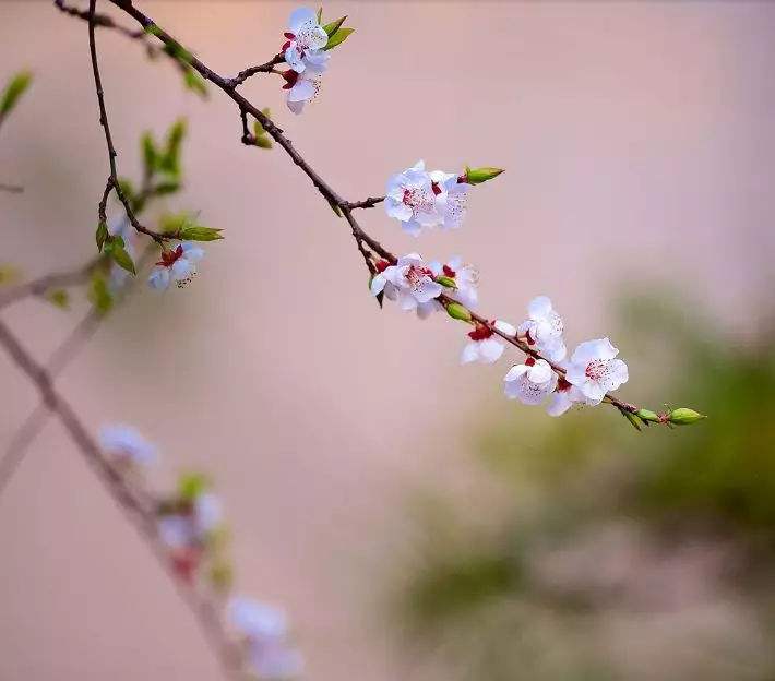 立春节气有什么讲究 立春节气有什么问题