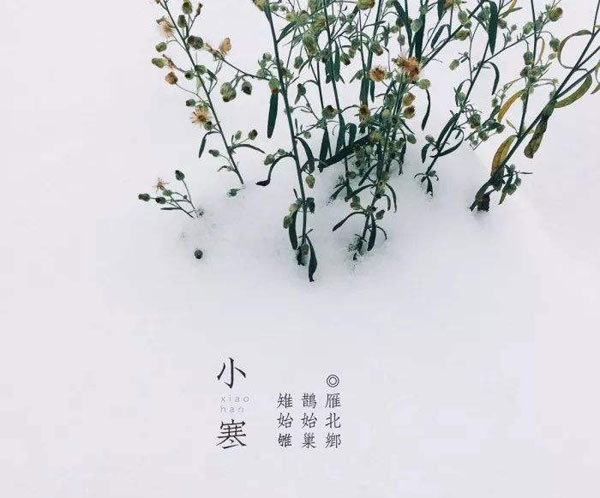 小寒节气吃什么传统食物 小寒节气吃什么水果最好