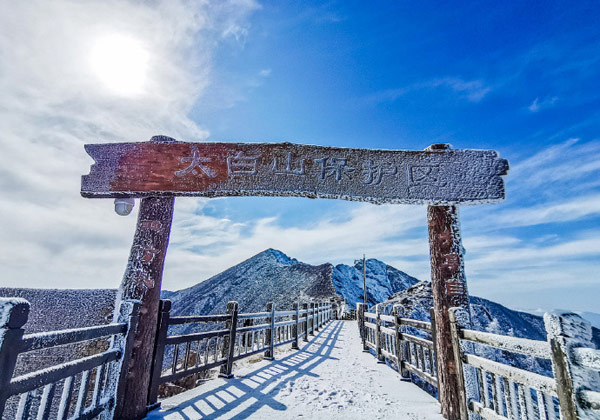 秦岭太白山雪后雾凇美景 雾凇是怎样形成的