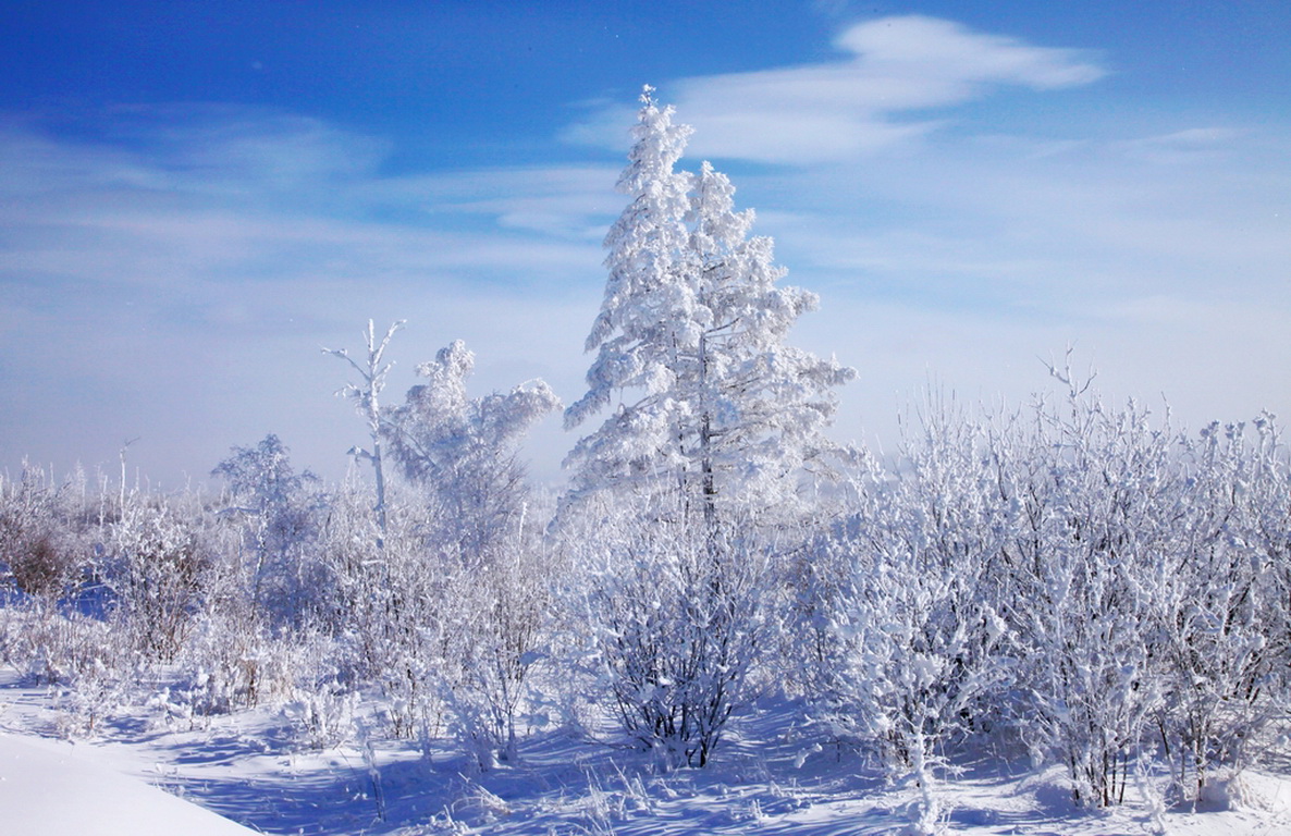 秦岭太白山雪后雾凇美景 雾凇是怎样形成的