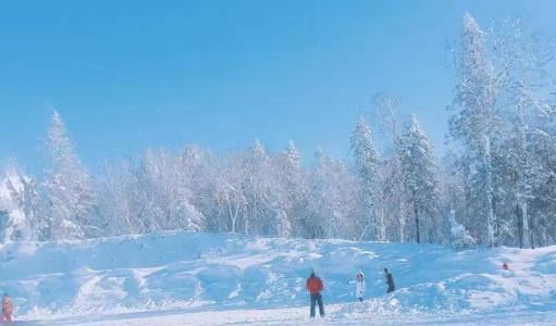 今年冬天会很冷吗2020 今年天气为什么这么冷