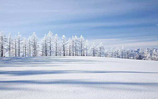 大雪节气的由来和风俗 节气大雪的来历及故事