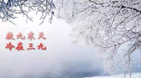 今年什么时候进一九2021 今年什么时候交九第一天2021 今年什么时候数九2021