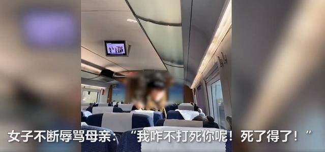 女子高铁辱骂母亲后弃母下车 辱骂母亲警察怎么处理