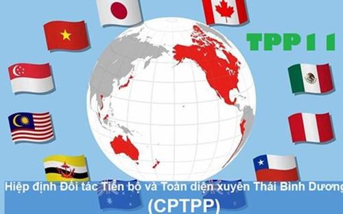 韩总统文在寅:考虑加入CPTPP CPTPP是什么组织