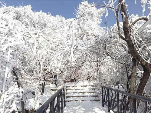 今年冬天湖南会下雪吗2020 今年冬天湖南有大雪吗