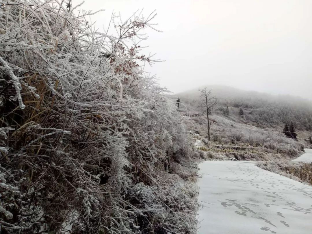 今年冬天湖南会下雪吗2020 今年冬天湖南有大雪吗