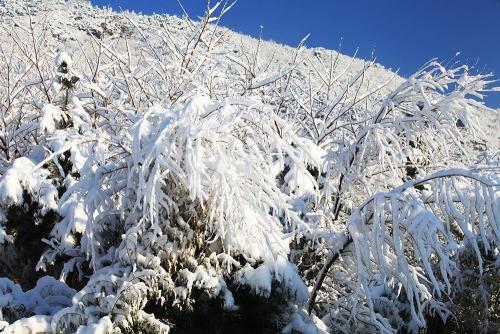 专家预计2021春节天气 预计今年春节天气如何