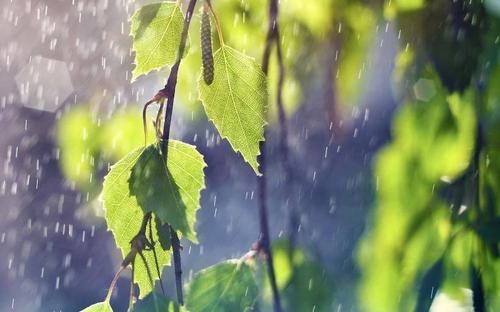 雨水节气的含义是什么意思 雨水节气的寓意是什么