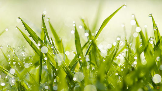 雨水节气的含义是什么意思 雨水节气的寓意是什么