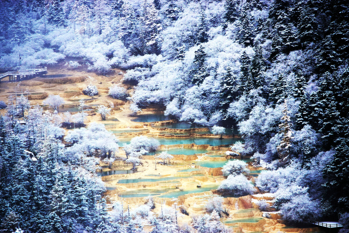 冬天第一场雪的说说 冬天第一场雪的朋友圈