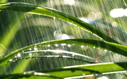 雨水节气的温度是多少 雨水节气怎么养生