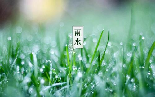 雨水节气的温度是多少 雨水节气怎么养生