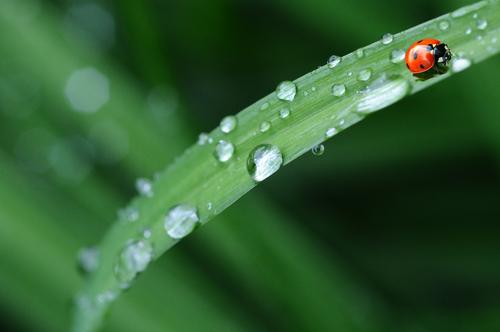 雨水节气的温度是多少 雨水节气怎么养生