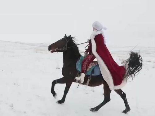 女副县长雪地策马爆红 已停直播 女副县长策马为当地旅游代言