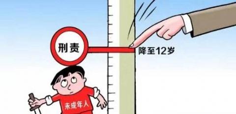 12岁 低龄未成年人刑责范围再调整 未成年刑责年龄12岁