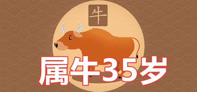 85属牛的35岁后的运气 85年属牛一生三大劫难