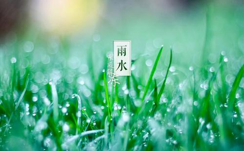 谷雨的来历和风俗 谷雨的含义和谚语