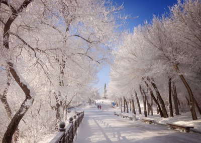 春天下雪什么兆头 立春后下雪有什么预示 立春后下雪民间的说法