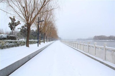 春天下雪什么兆头 立春后下雪有什么预示 立春后下雪民间的说法