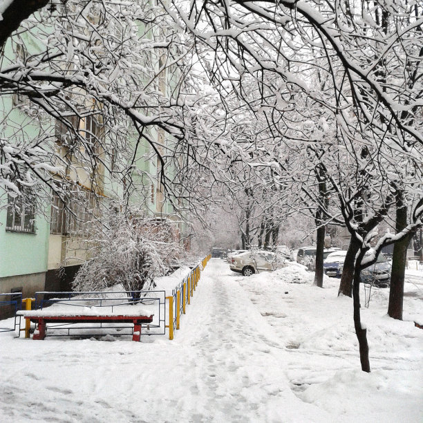 春天下雪什么兆头 立春后下雪有什么预示 立春后下雪民间的说法