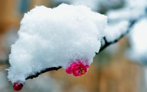 春天下雪什么兆头 春天下冰雹的预兆