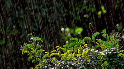 正月里下雨有什么说法 正月里下雨打雷正常吗 正月里下雨有什么寓意吗