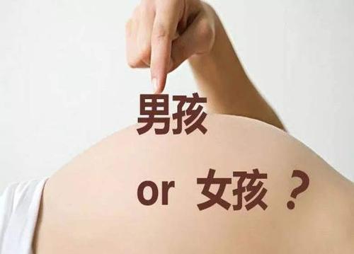 生男孩的科学备孕方法 生男孩怎么调理