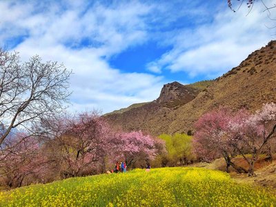 出了正月还冷吗 正月之后天气预报 2021年三月份天气预报