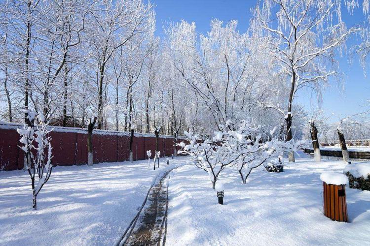 春天的雪怎么形容发朋友圈 赞美春天下大雪的句子 春天下大雪的调皮句子