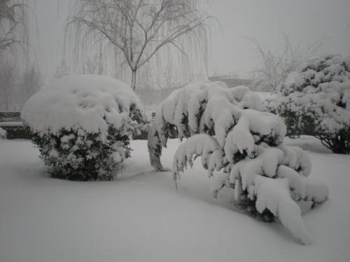 三月下雪有什么预兆 3月份下雪的地方