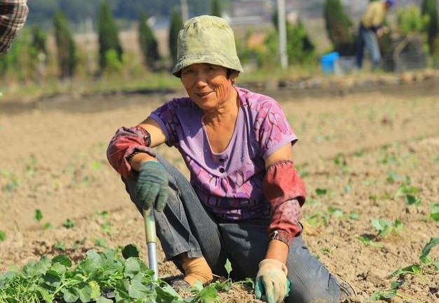 建议保障农村出嫁女性土地权益 农村出嫁女土地怎样确权 农村出嫁女是否享有原宅基地的份额