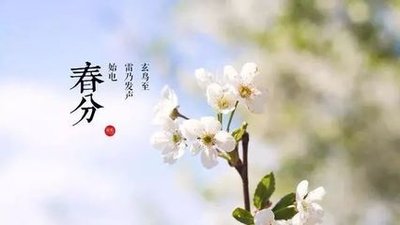 适合春分节气发朋友圈的短语 适合春分节气发的句子