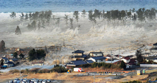 日本大地震后老人海底寻妻10年 妻子最后一条信息令人泪目