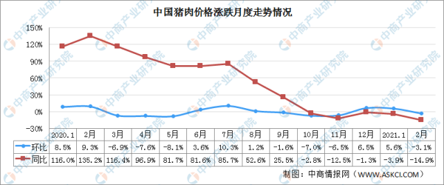 2021年猪价行情分析预测最新 2021年一2022年猪价怎样