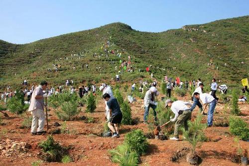 植树节 为什么植树是公民义务 植树节义务植树