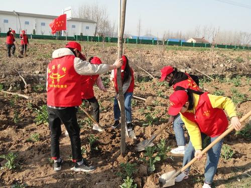 植树节 为什么植树是公民义务 植树节义务植树