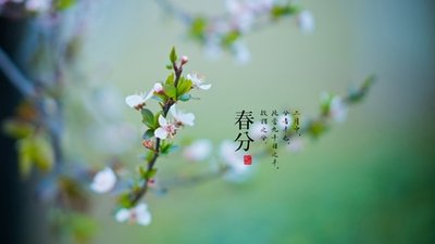 春分节气吃什么食物 春分要吃什么窍门春分饮食