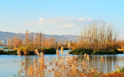 清明节去哪里玩比较好 清明节去哪里旅游合适