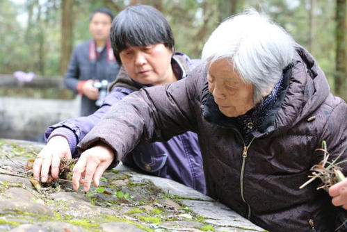 清明节挂山是上午还是下午 清明节挂山什么时候