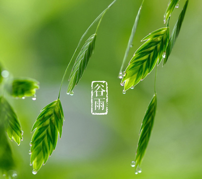 谷雨节气吃什么传统食物 谷雨有什么传统食物