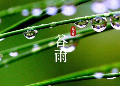 2021谷雨节气是哪一天 2021谷雨是几月几号