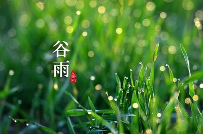 2021谷雨节气是哪一天 2021谷雨是几月几号