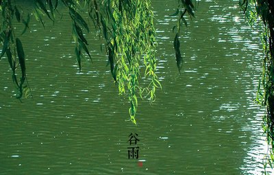 谷雨养生常识顺口溜 谷雨节气养生知识