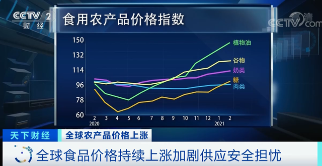 全球食品价格持续上涨 粮食价格上涨带来的影响